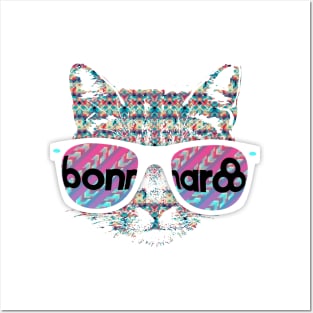 Bonnaroo Cat Posters and Art